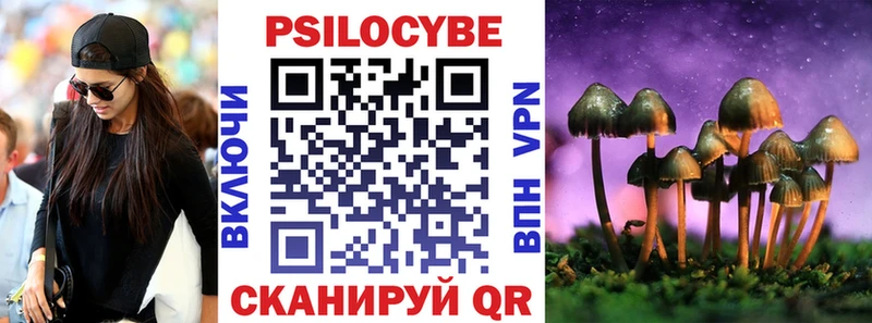 Купить закладки  Жуков  Псилоцибиновые грибы Psilocybine cubensis 